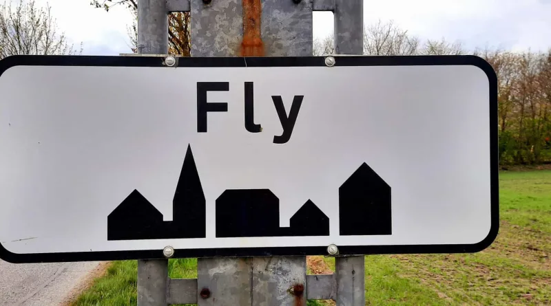 Oplæg til sammenslutning af foreningerne Fly Aktive Kvinder og Fly Borgerforening